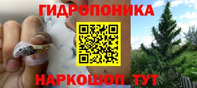 дурь Гагарин