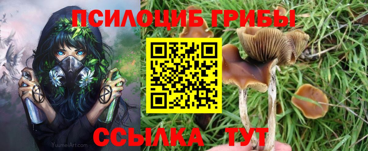 Нововоронеж  Галлюциногенные грибы Magic Shrooms  Псилоцибиновые грибы прущие грибы  Вход с VPN 